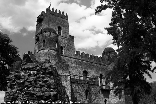 Fasilides Castle, Gondar, Ethiopia   Picture Board by Aidan Moran