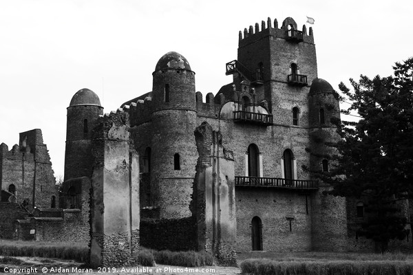 Castles of Gondar, Ethiopia   Picture Board by Aidan Moran