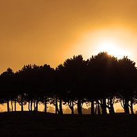 Buy canvas prints of Golden Evening Light In The French Countryside by Aidan Moran