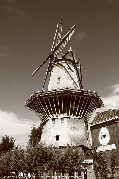 Amsterdam Windmill Picture Board by Aidan Moran