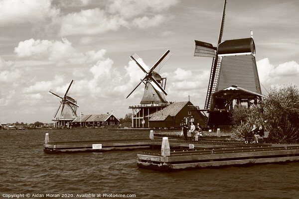 Zaanse Schans Windmills  Picture Board by Aidan Moran