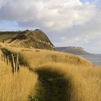 Buy canvas prints of Towards St Aldheims Head, Dorset by Colin Tracy