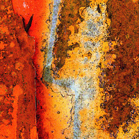 Buy canvas prints of Rust Abstract by Colin Tracy