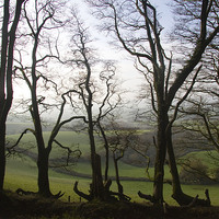 Buy canvas prints of  From Lewesdon Hill, Dorset, UK by Colin Tracy