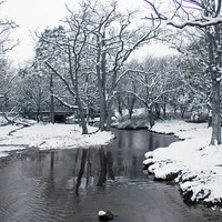 Buy canvas prints of Snowy Puttles Bridge, New Forest by Colin Tracy