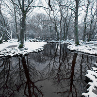 Buy canvas prints of Ober Water Winter  by Colin Tracy