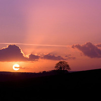 Buy canvas prints of  Wiltshire Sunset by Colin Tracy
