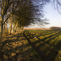 Buy canvas prints of  Shadows above Winterborne Steepleton by Colin Tracy