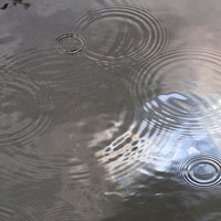 Buy canvas prints of  Ripples and Rain by Colin Tracy