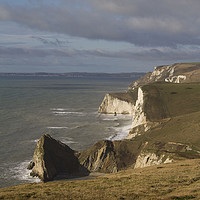 Buy canvas prints of South Dorset Coastline Chalk Cliffs by Colin Tracy