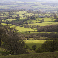 Buy canvas prints of Shropshire Vale by Colin Tracy