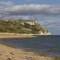 Buy canvas prints of White Nothe and Ringstead Bay, Dorset, UK by Colin Tracy