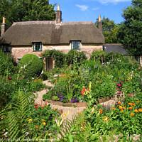 Buy canvas prints of Hardy's Cottage, Near Dorchester, Dorset, UK by Colin Tracy