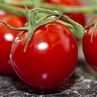 Buy canvas prints of Red Cherry Tomatos by David Merrifield