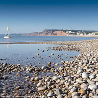 Buy canvas prints of All Moored up at Budleigh Salterton by David Merrifield