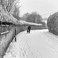 Buy canvas prints of The old cob wall at Colaton Raleigh during the snow. by David Merrifield