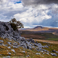 Buy canvas prints of Ingleborough from Tow Scar by David McCulloch