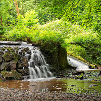 Buy canvas prints of Summer Falls by David McCulloch