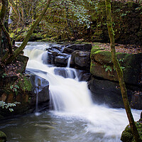 Buy canvas prints of Healey Dell by David McCulloch