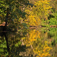 Buy canvas prints of Reflections of Autumn by David McCulloch