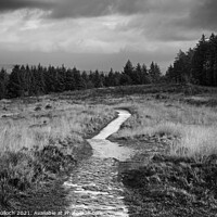 Buy canvas prints of Dark side of the fell by David McCulloch