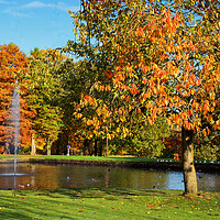 Buy canvas prints of Autumn by the fountain by David McCulloch