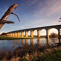 Buy canvas prints of Arthington Viaduct revealed by David McCulloch