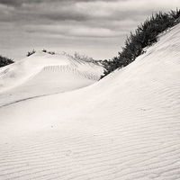 Buy canvas prints of  Dunes by David McCulloch