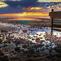 Buy canvas prints of  Last Rays by David McCulloch