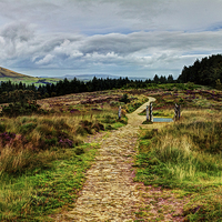 Buy canvas prints of  Path from the Summit by David McCulloch