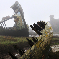 Buy canvas prints of  Collision in Mist by David McCulloch