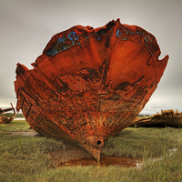 Buy canvas prints of  Rusting Wreck by David McCulloch