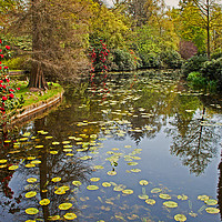 Buy canvas prints of Lakeside Gardens by David McCulloch