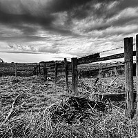 Buy canvas prints of Broken Fencing by David McCulloch