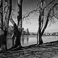 Buy canvas prints of Lakeside by David McCulloch