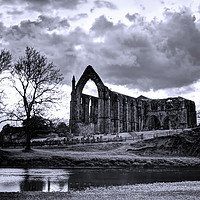 Buy canvas prints of Bolton Abbey by David McCulloch
