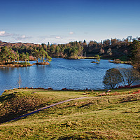 Buy canvas prints of Tarn Hows Vista by David McCulloch