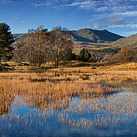 Buy canvas prints of Kelly Hall Tarn panorama by David McCulloch