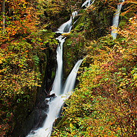 Buy canvas prints of Stock Ghyll Force by David McCulloch