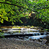 Buy canvas prints of Wycoller Beck downstream by David McCulloch