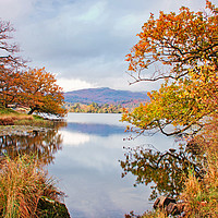 Buy canvas prints of Rydal autumn foliage by David McCulloch