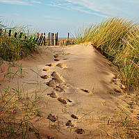 Buy canvas prints of Footprints in the Sand by David McCulloch