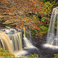 Buy canvas prints of Autumn frames the falls by David McCulloch