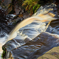 Buy canvas prints of The force of nature by David McCulloch