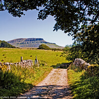 Buy canvas prints of The path to Pen-y-ghent by David McCulloch