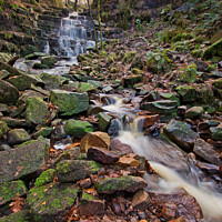 Buy canvas prints of Hatch Brook by David McCulloch
