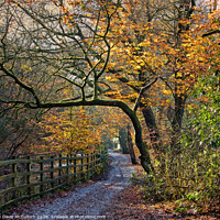 Buy canvas prints of Changing Seasons by David McCulloch