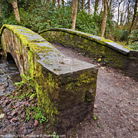 Buy canvas prints of The mossy bridge by David McCulloch