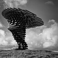 Buy canvas prints of Under the Singing Ringing Tree by David McCulloch