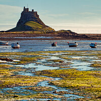 Buy canvas prints of Morning colours of Lindisfarne by David McCulloch